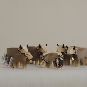 Tierpaket 1 Braunvieh