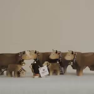 Tierpaket 2 Braunvieh