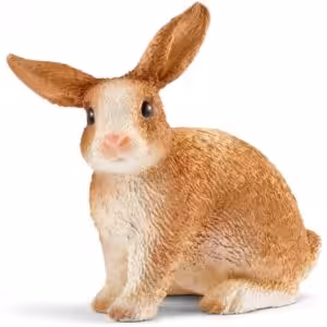 Kaninchen