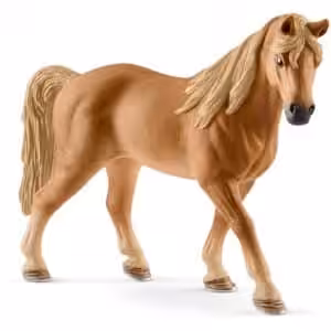 Tennessee Walker Stute