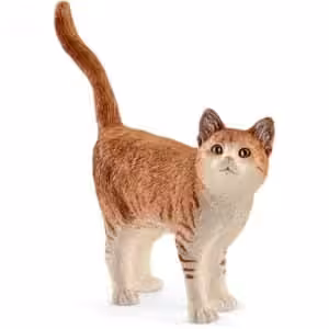 Katze stehend