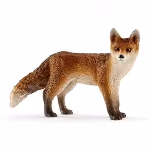Fuchs