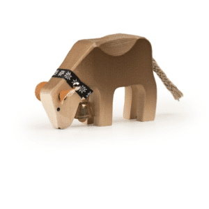 Kalb Braunvieh fressend